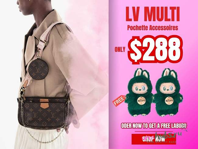 Louis Vuitton Multi Pochette - 1