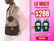 Louis Vuitton Multi Pochette - 1