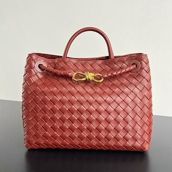 Bottega Veneta Medium Andiamo Sapele Color Bag - 32x25x11cm