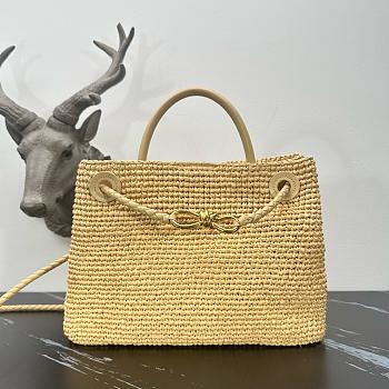 Bottega Veneta Medium Andiamo Raffia Bag - 32x25x11cm