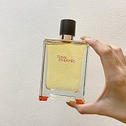 Hermes Terre d'Hermes Eau de toilette 100ml - 1