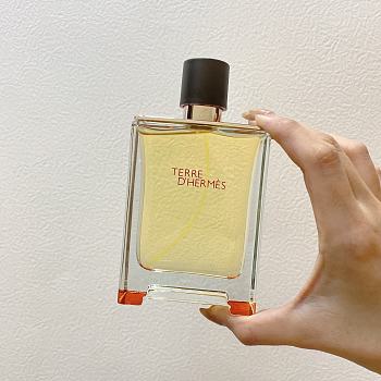 Hermes Terre d'Hermes Eau de toilette 100ml
