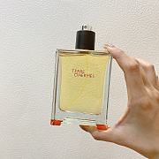 Hermes Terre d'Hermes Eau de toilette 100ml - 6