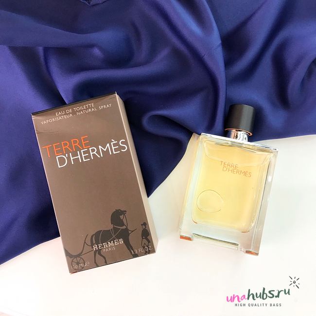 Hermes Terre D'Hermes Pure Parfum Spray Men 100ml - 1