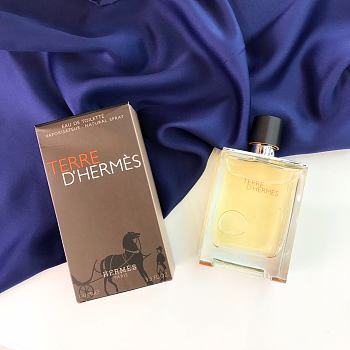 Hermes Terre D'Hermes Pure Parfum Spray Men 100ml