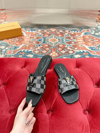 	 Louis Vuitton Damier Black Slides