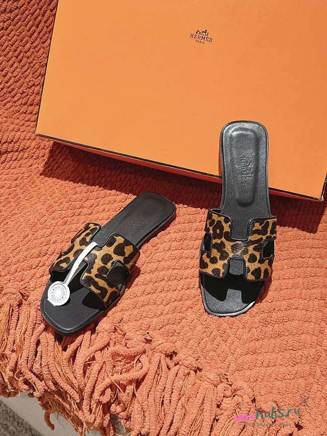 Hermes Oran Slides - 1