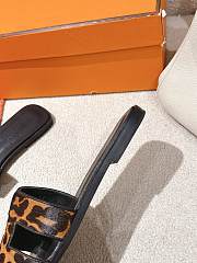 Hermes Oran Slides - 2