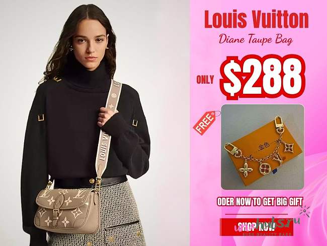 Louis Vuitton Diane Taupe Bag - 23x16x8.5cm - 1