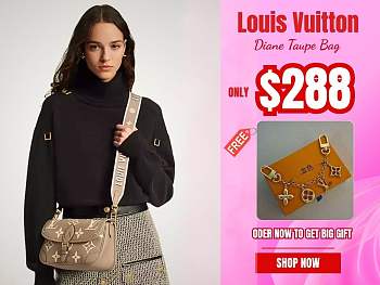 Louis Vuitton Diane Taupe Bag - 23x16x8.5cm