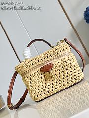 Louis Vuitton Vanity Chain Pouch Natural Tan Raffia - 19 x 6.5 x 11.5 cm - 1