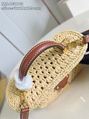 Louis Vuitton Vanity Chain Pouch Natural Tan Raffia - 19 x 6.5 x 11.5 cm - 5