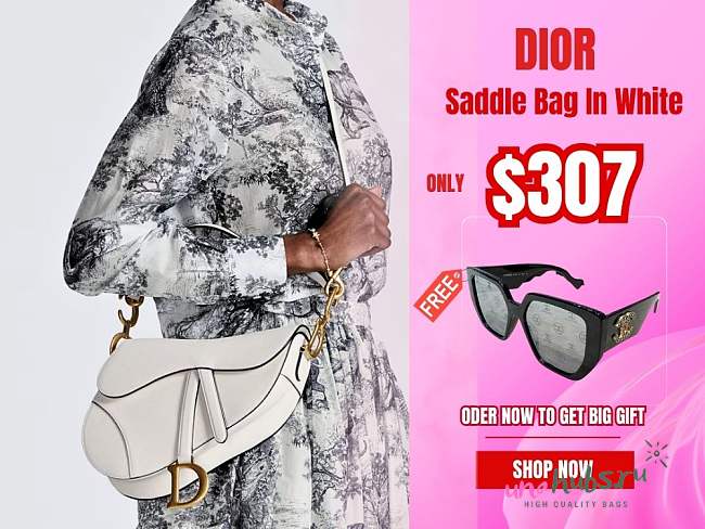 Dior Saddle Bag - 1