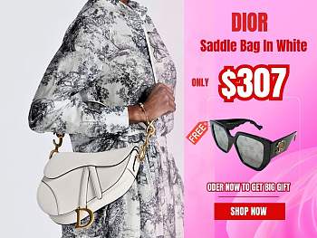 Dior Saddle Bag