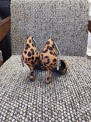 Jimmy Choo Stevie 85/65mm Leopard Print Pony Pumps - 4