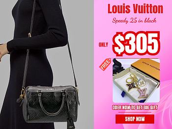 LOUIS VUITTON SPEEDY 25 3807