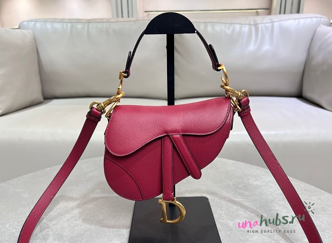 	 Dior Saddle Mini Bag - 17×5×15cm - 1