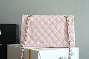 Chanel Medium Classic Flap Bag 25cm Pink - 2
