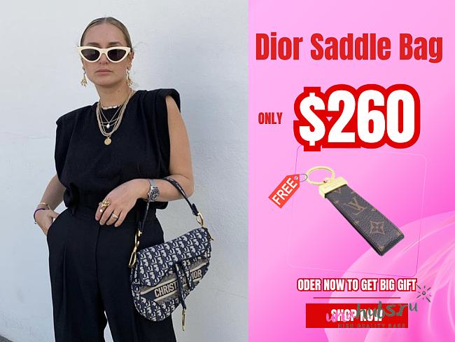 Dior Saddle Bag - 1