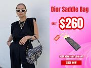 Dior Saddle Bag - 1