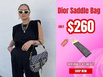 Dior Saddle Bag