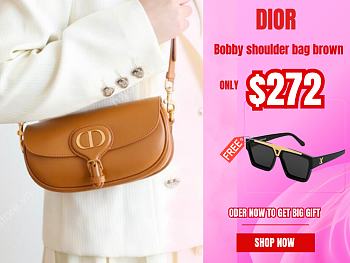 Dior Bobby shoulder bag brown