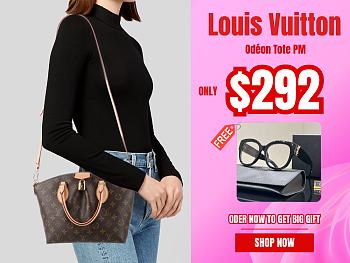 Louis Vuitton Odéon Tote PM - 25.0 x 23.0 x 14.0cm