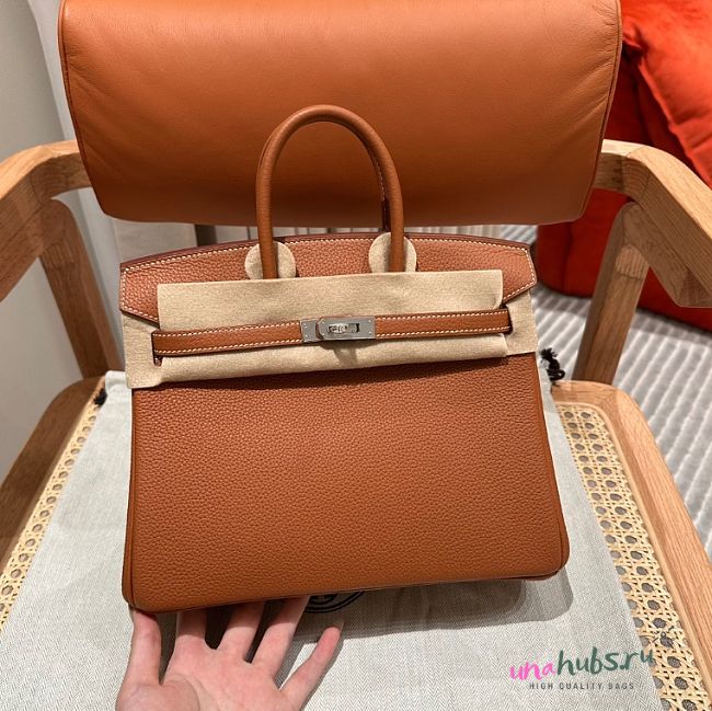 Hermes birkin togo leather silver hardware 25 - 1