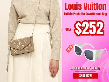 Louis Vuitton Felicie Pochette Dove/Cream Bag
