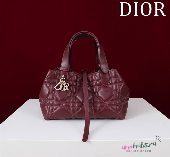 Dior Small Toujours Bag Dahlia Red Macrocannage Calfskin - 23*15*15cm - 1