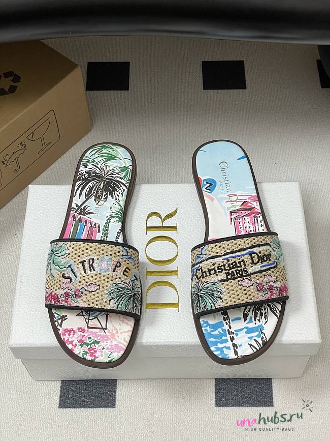 	 Dior Souvenir Dway Slide Natural Raffia Blue - 1