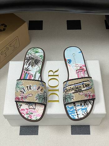 	 Dior Souvenir Dway Slide Natural Raffia Blue