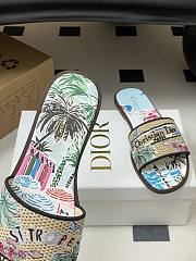 	 Dior Souvenir Dway Slide Natural Raffia Blue - 6