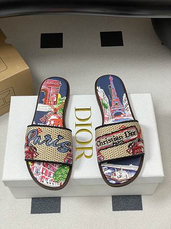 	 Dior Souvenir Dway Slide Natural Raffia Navy Blue