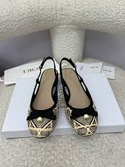 Dior Ballet Slingback Pump Natural and Black Cannage Raffia - 1