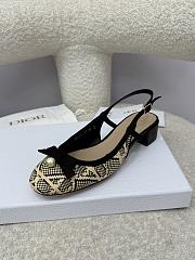 Dior Ballet Slingback Pump Natural and Black Cannage Raffia - 4