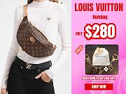 Louis Vuitton BUMBAG M43644 - 1