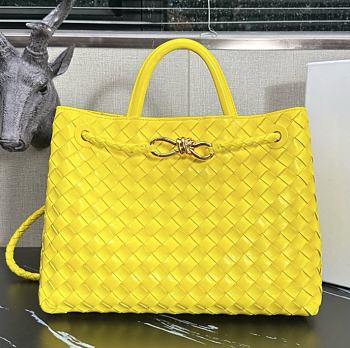 Bottega Veneta Andiamo Yello Tote Bag - 32.5×24×12cm