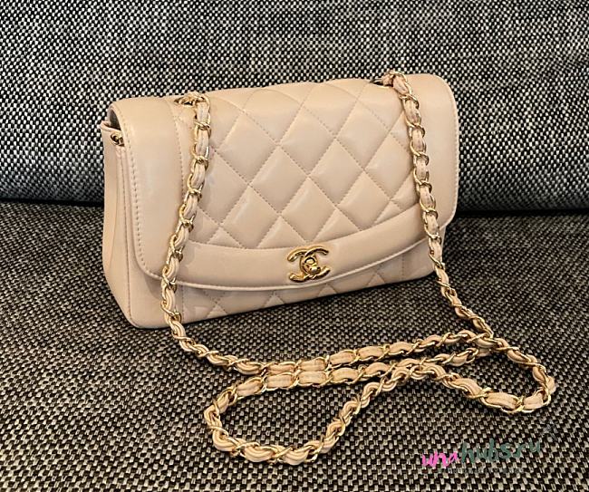 Chanel Diana Flap Bag in Beige - 22.5x14x7cm - 1