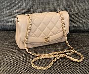 Chanel Diana Flap Bag in Beige - 22.5x14x7cm - 1