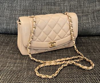 Chanel Diana Flap Bag in Beige - 22.5x14x7cm
