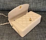 Chanel Diana Flap Bag in Beige - 22.5x14x7cm - 6