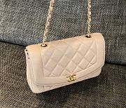 Chanel Diana Flap Bag in Beige - 22.5x14x7cm - 5