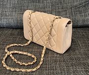 Chanel Diana Flap Bag in Beige - 22.5x14x7cm - 3