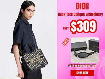 Dior Small Dior Book Tote Oblique Embroidery and Calfskin - 26.5 x 22 x 14 cm