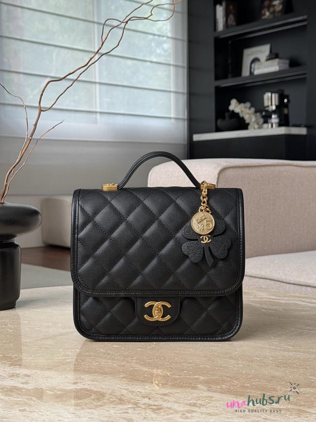 Chanel Grained Shiny Calfskin & Gold-Tone Metal - 22x19.5x7cm - 1