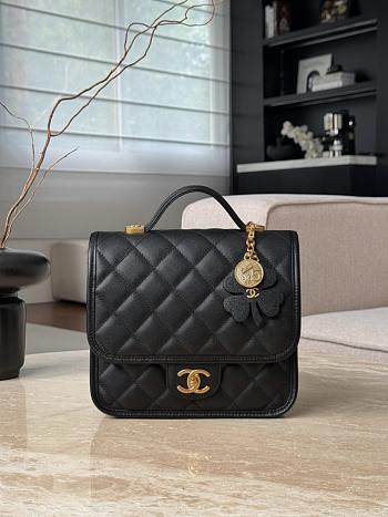 Chanel Grained Shiny Calfskin & Gold-Tone Metal - 22x19.5x7cm