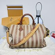 Louis Vuitton 40 Brown stripes Speedy - 6