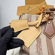 Louis Vuitton 40 Brown stripes Speedy - 3