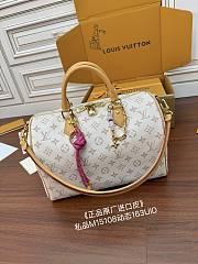 Louis Vuitton Speedy Soft 30 Lucky Other Monogram Canvas - 30x21x17CM - 1